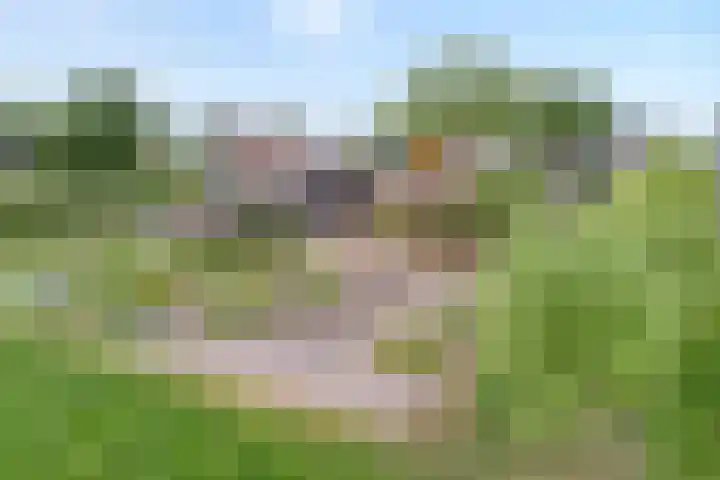 Meeleweg 7 Nieuwleusen thumbnail 73