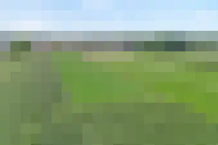 Meeleweg 7 Nieuwleusen thumbnail 75