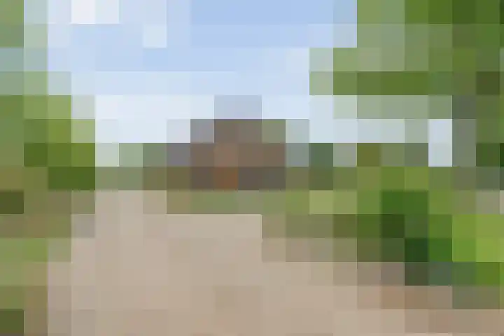 Meeleweg 7 Nieuwleusen thumbnail 76