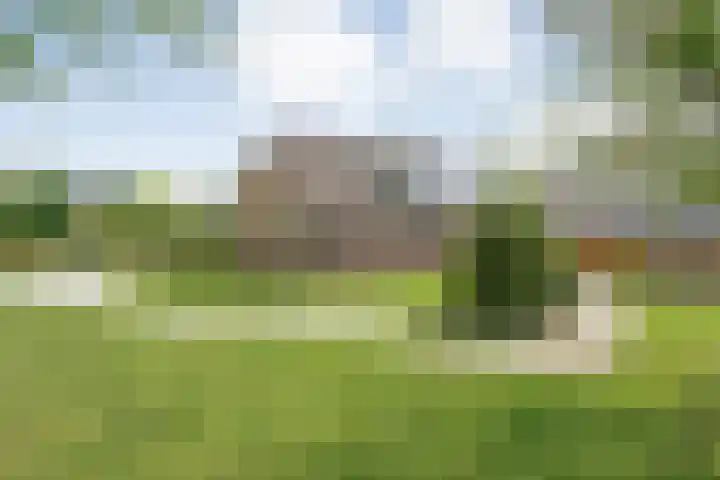 Meeleweg 7 Nieuwleusen thumbnail 77