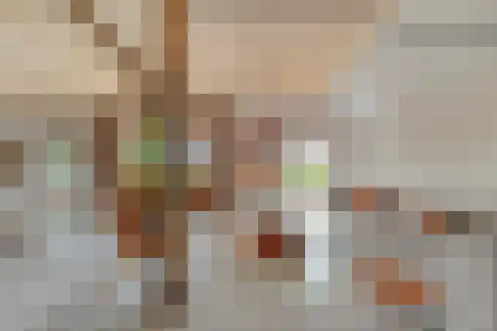 Meeleweg 7 Nieuwleusen thumbnail 8