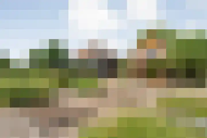 Meeleweg 7 Nieuwleusen thumbnail 84