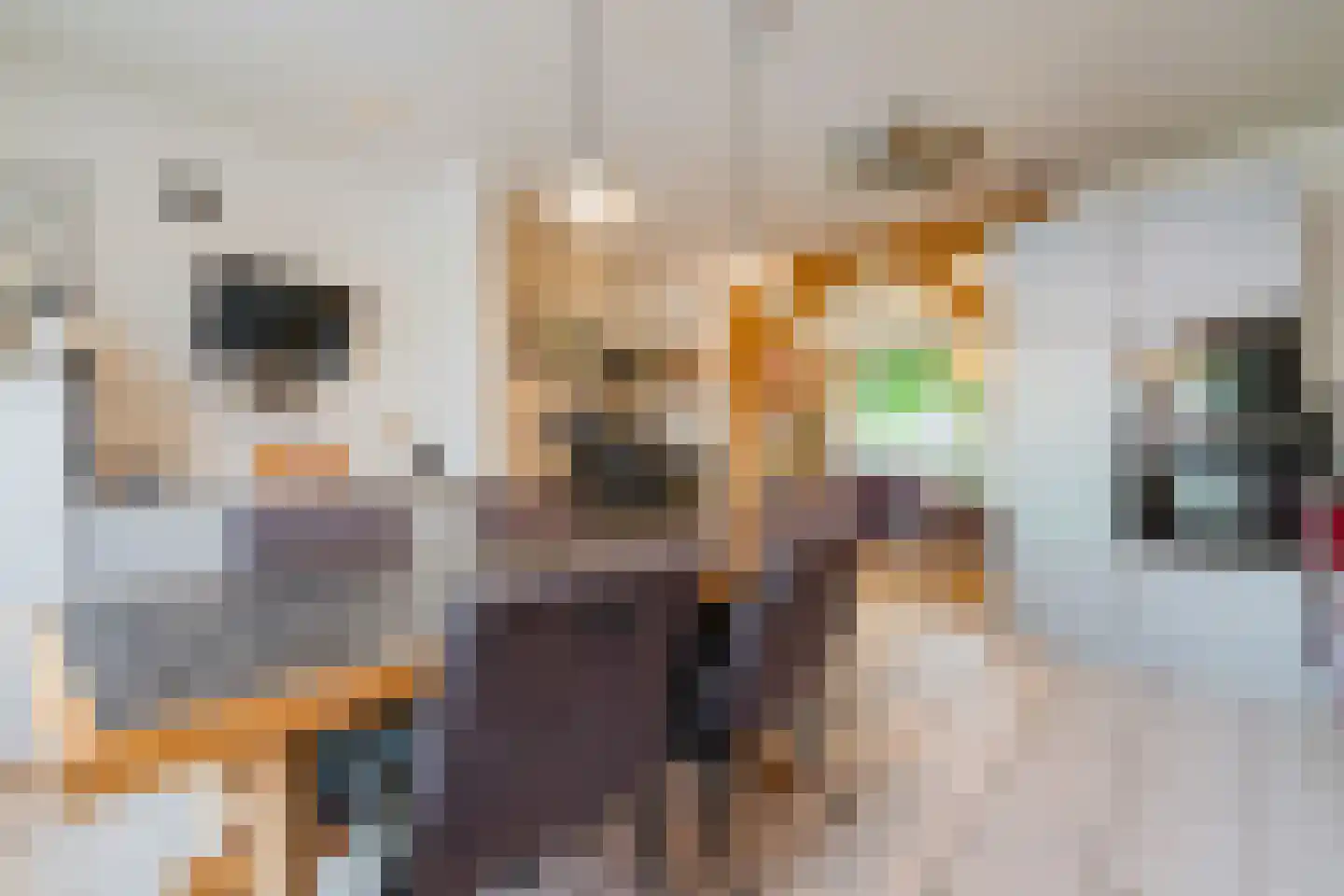 Meeleweg 8 Nieuwleusen thumbnail 10
