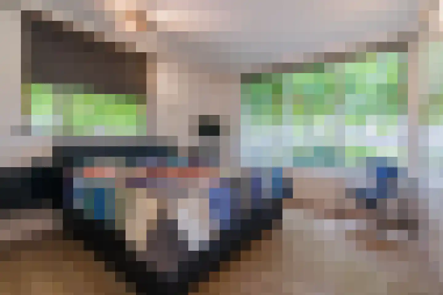 Meeleweg 8 Nieuwleusen thumbnail 15