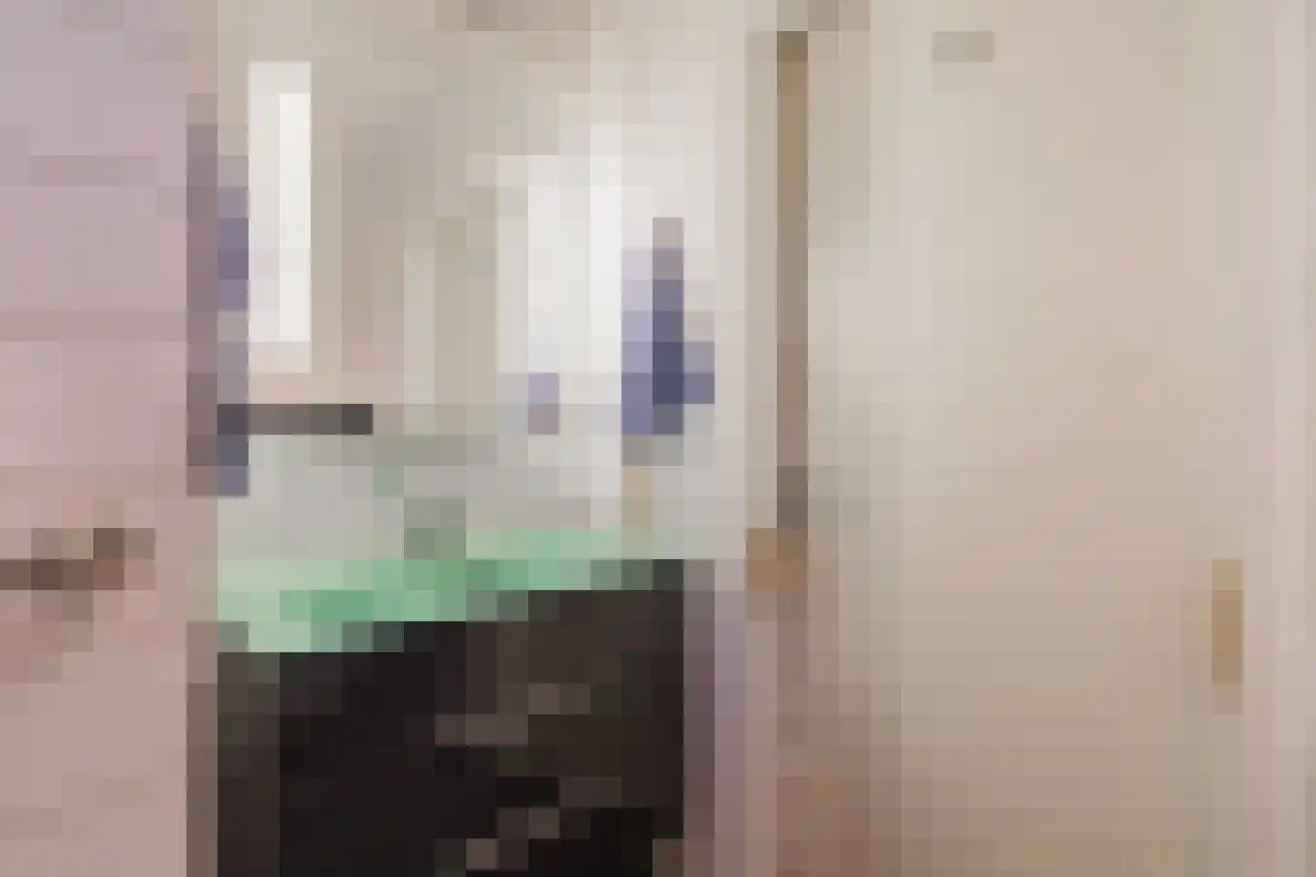 Meeleweg 8 Nieuwleusen thumbnail 16