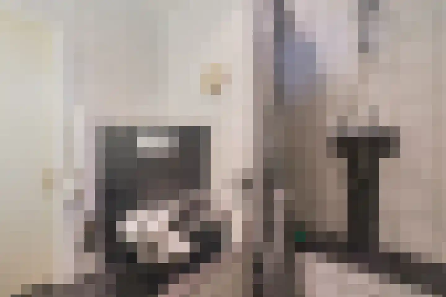 Meeleweg 8 Nieuwleusen thumbnail 17