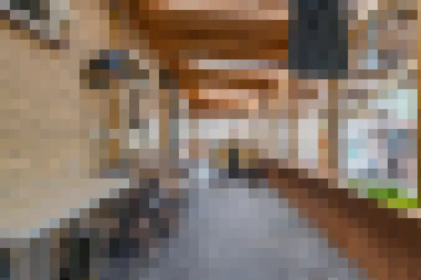Meeleweg 8 Nieuwleusen thumbnail 19