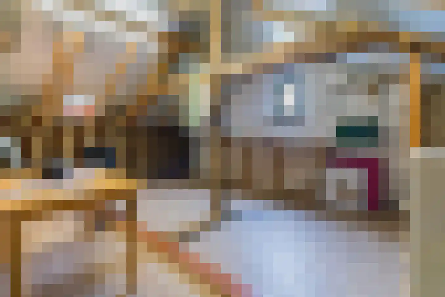 Meeleweg 8 Nieuwleusen thumbnail 24