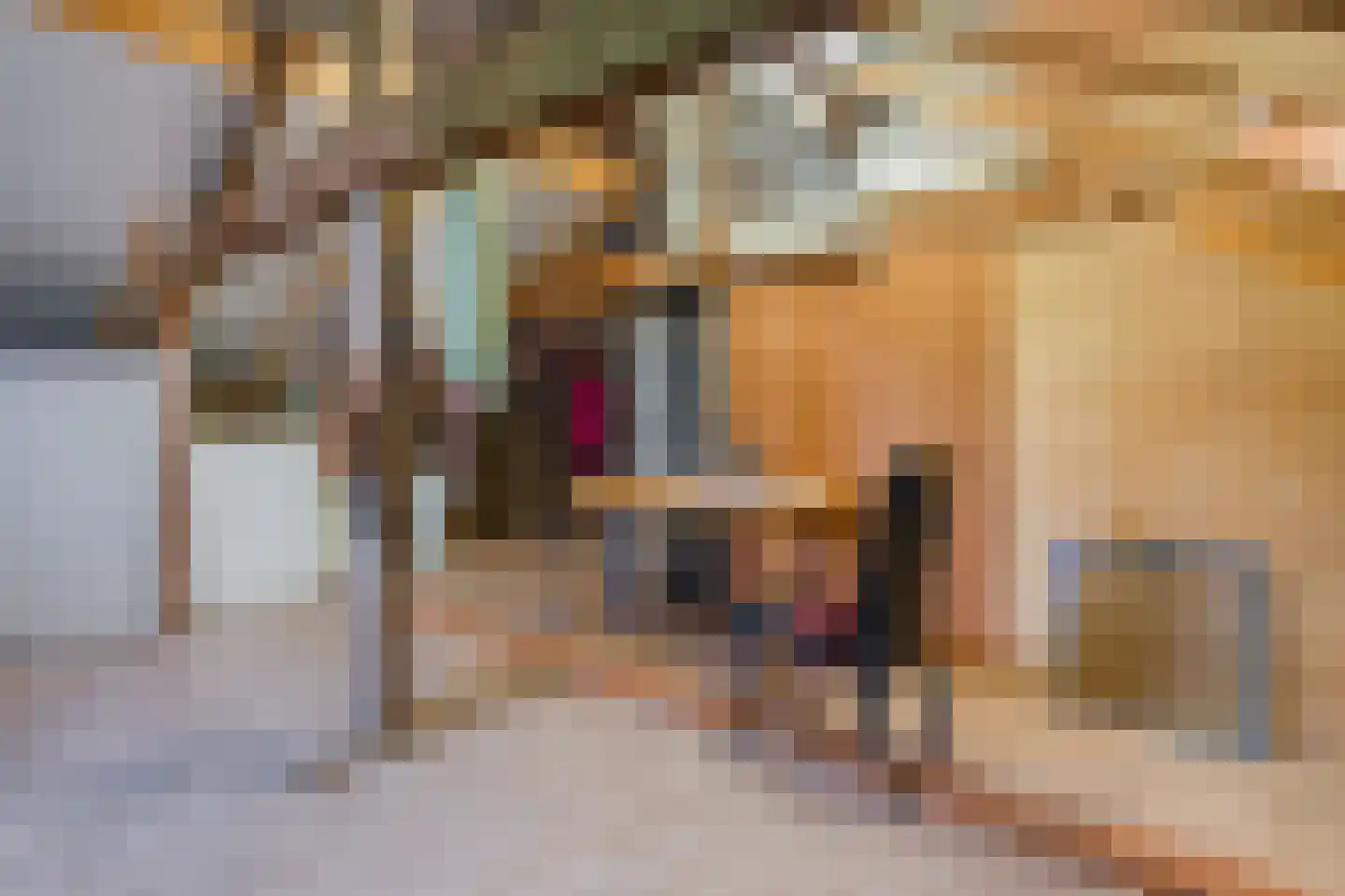 Meeleweg 8 Nieuwleusen thumbnail 25