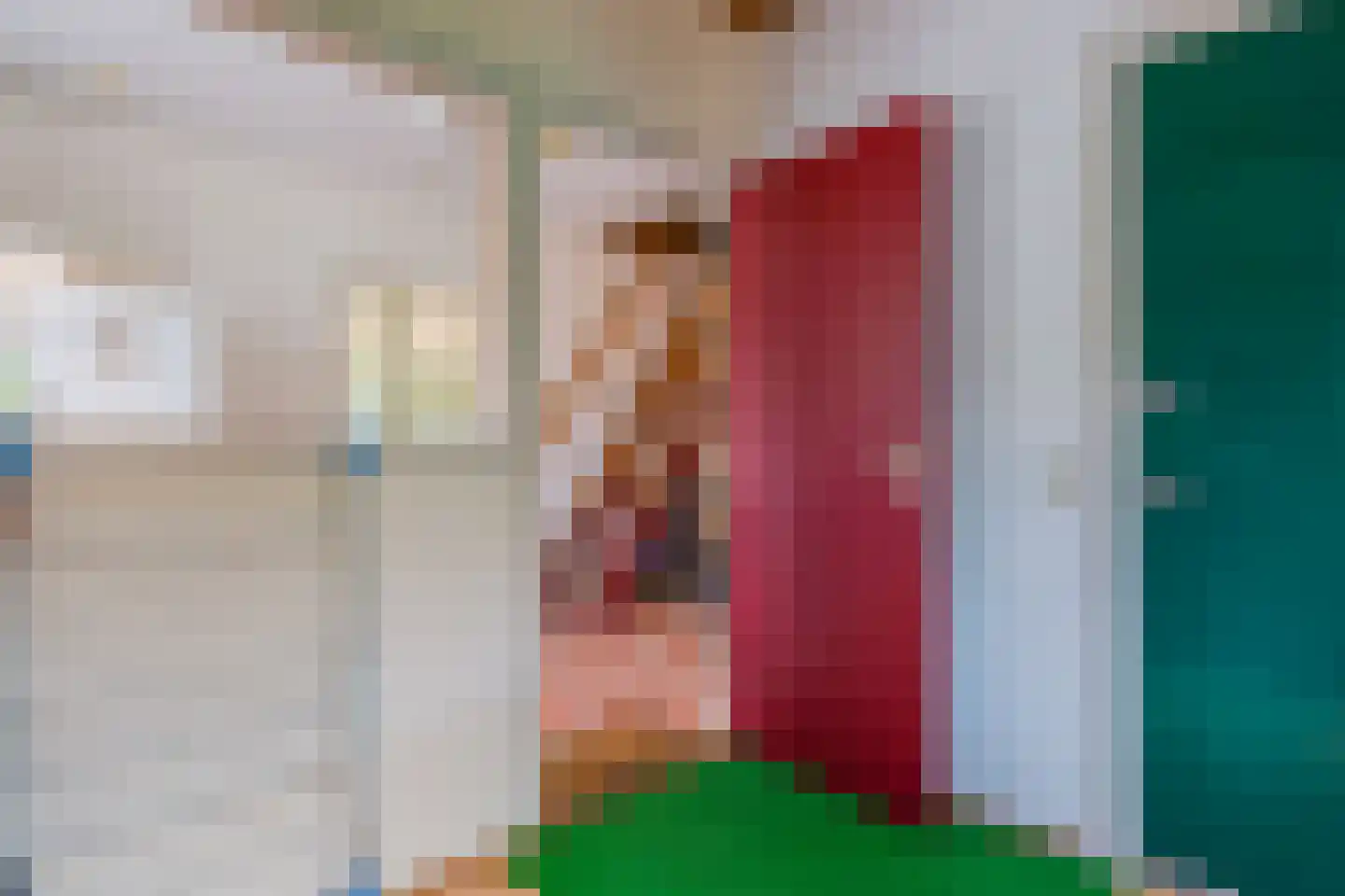 Meeleweg 8 Nieuwleusen thumbnail 27