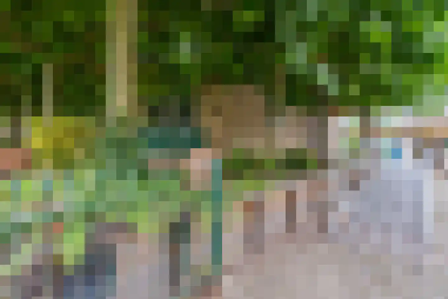 Meeleweg 8 Nieuwleusen thumbnail 38
