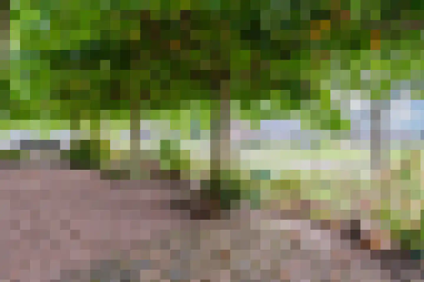 Meeleweg 8 Nieuwleusen thumbnail 40