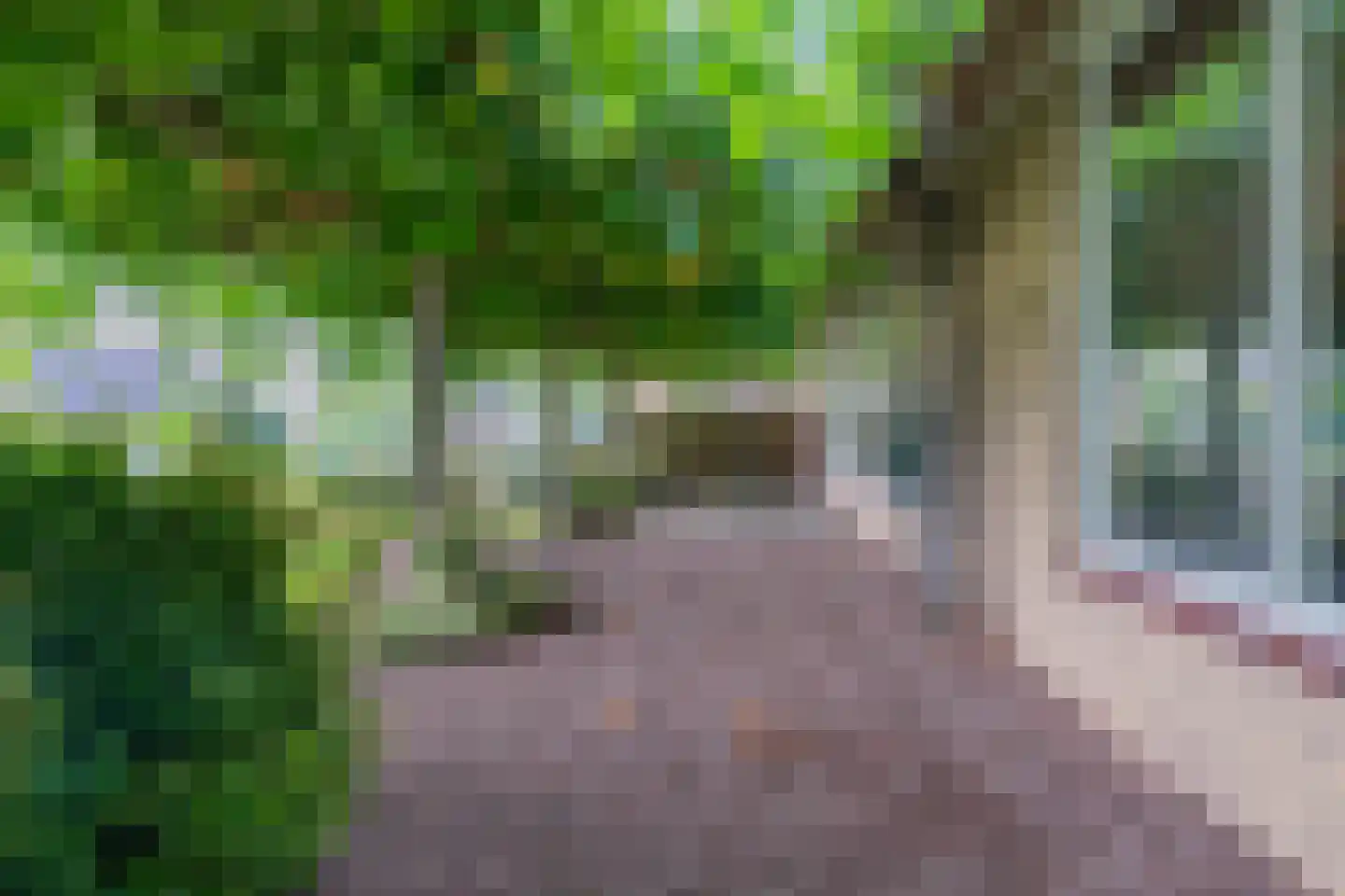 Meeleweg 8 Nieuwleusen thumbnail 41