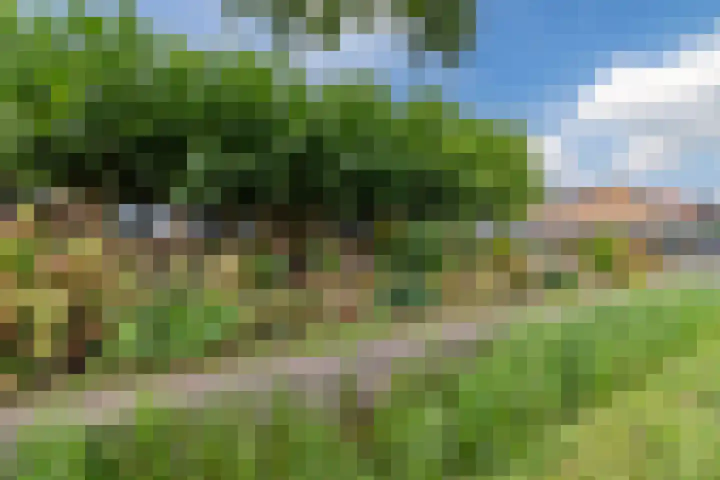 Meeleweg 8 Nieuwleusen thumbnail 42