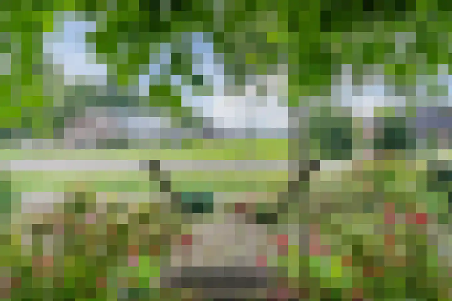 Meeleweg 8 Nieuwleusen thumbnail 5