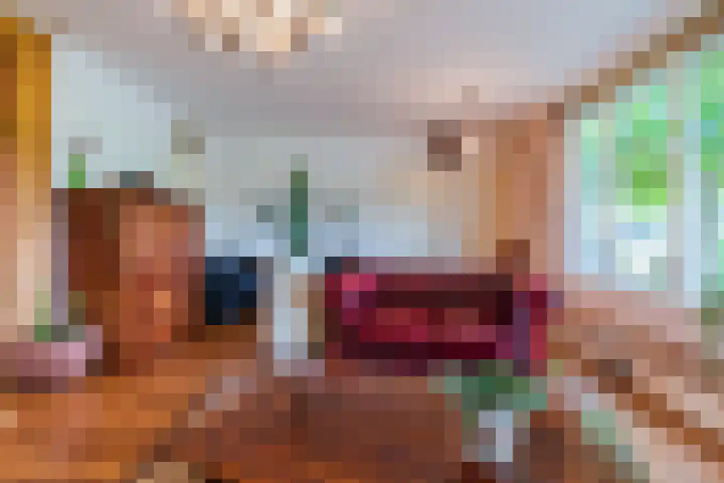 Meeleweg 8 Nieuwleusen thumbnail 8