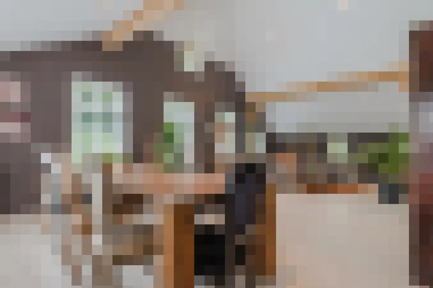 Meeleweg 92 Nieuwleusen thumbnail 14