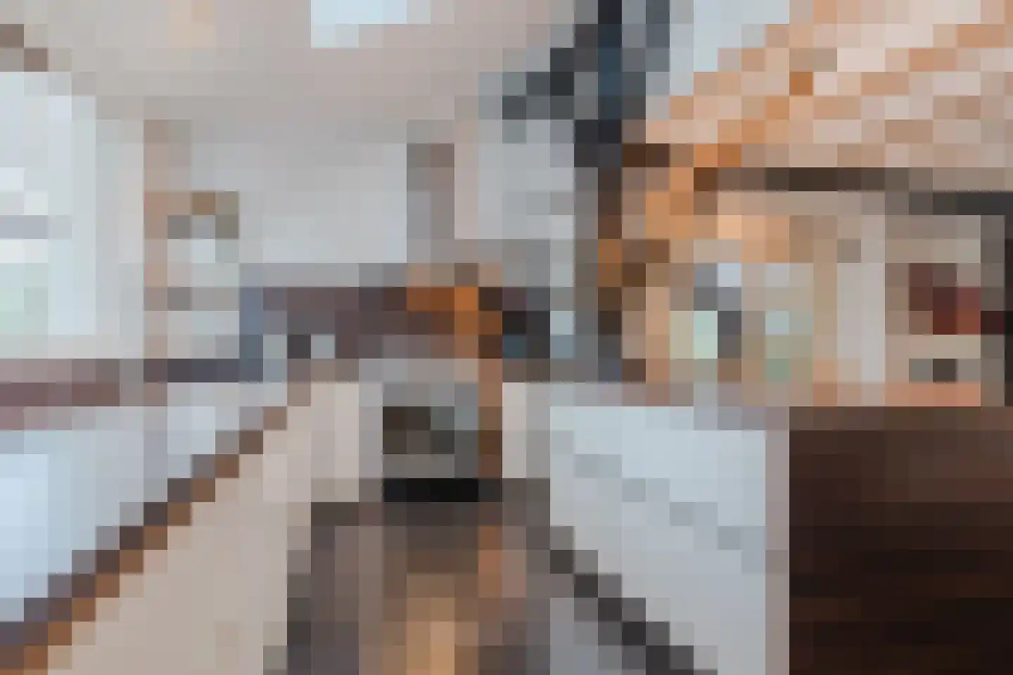 Meeleweg 92 Nieuwleusen thumbnail 17