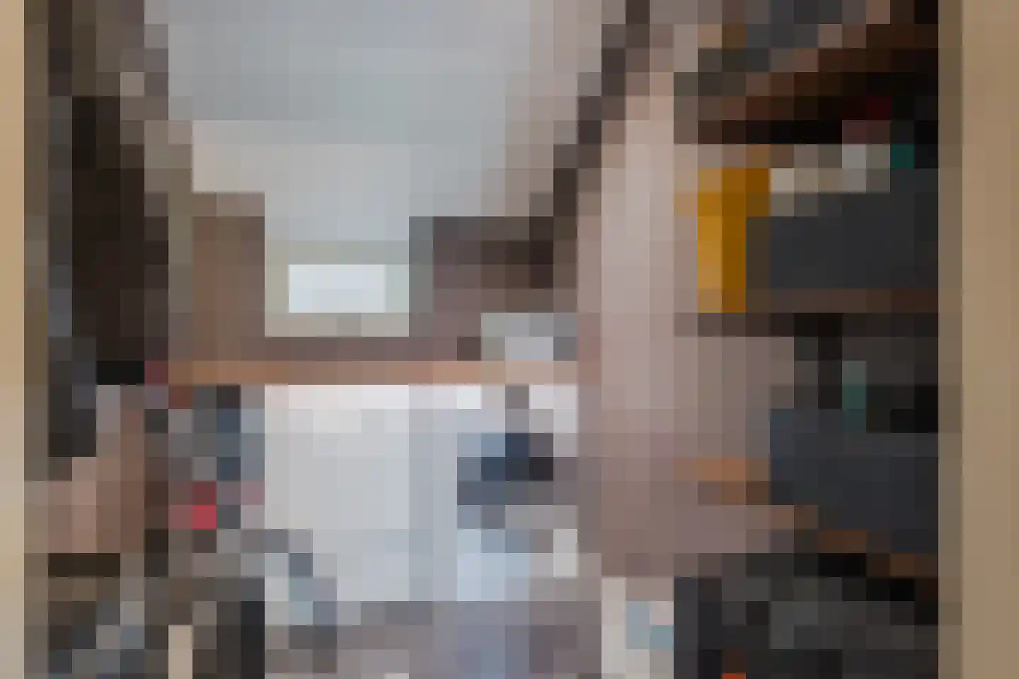 Meeleweg 92 Nieuwleusen thumbnail 21