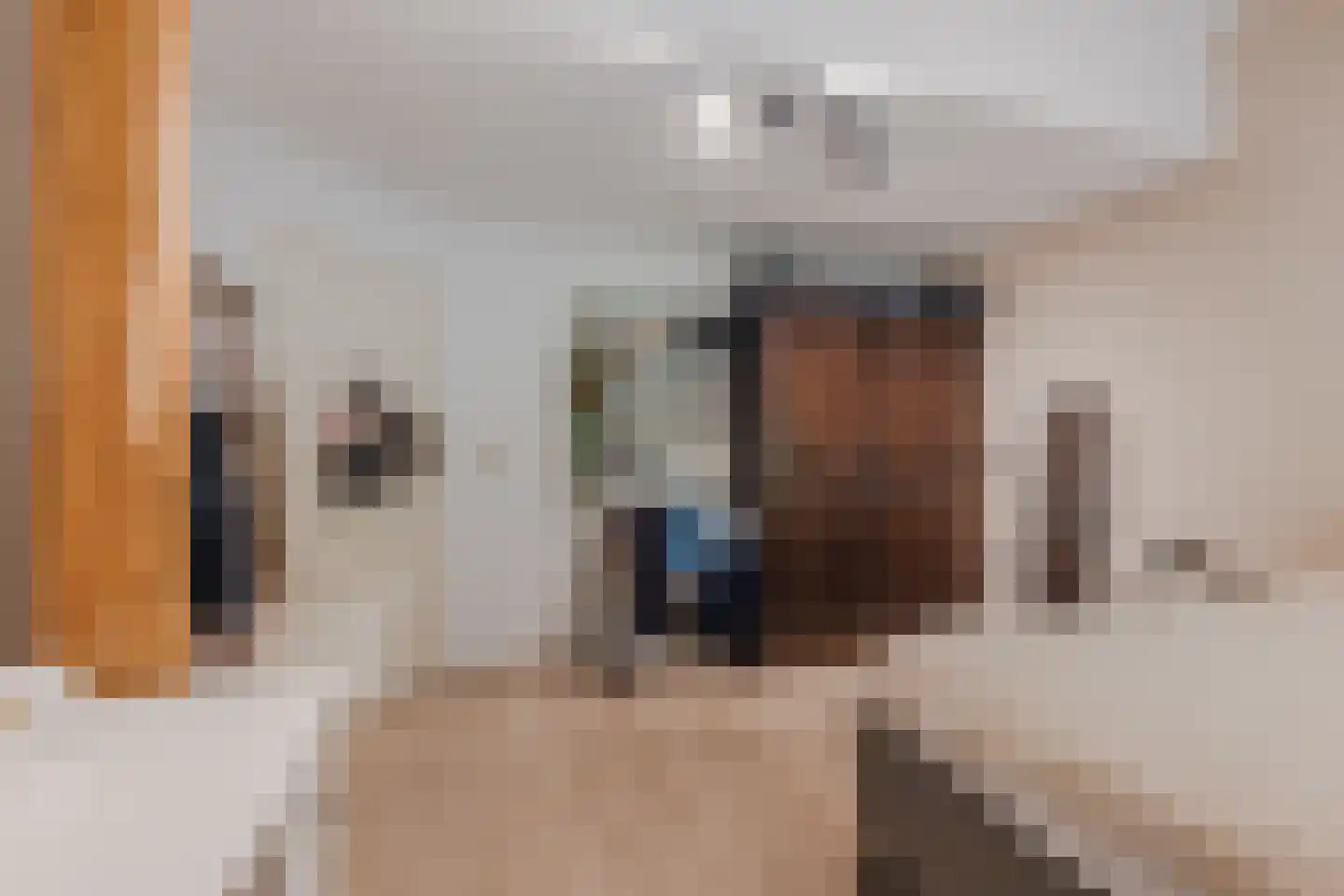 Meeleweg 92 Nieuwleusen thumbnail 23
