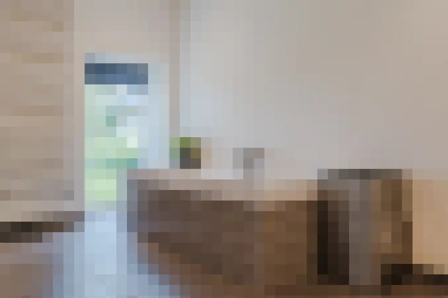 Meeleweg 92 Nieuwleusen thumbnail 33