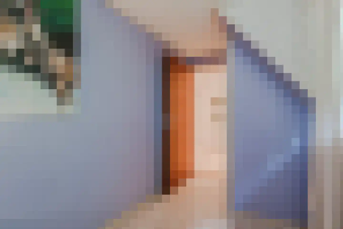 Meeleweg 92 Nieuwleusen thumbnail 43
