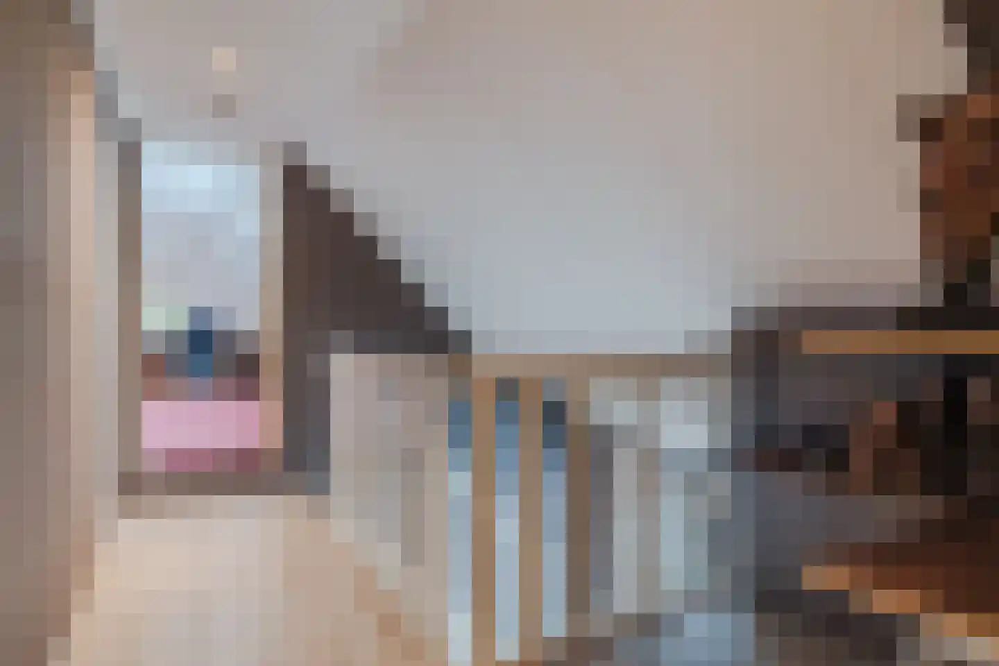 Meeleweg 92 Nieuwleusen thumbnail 46