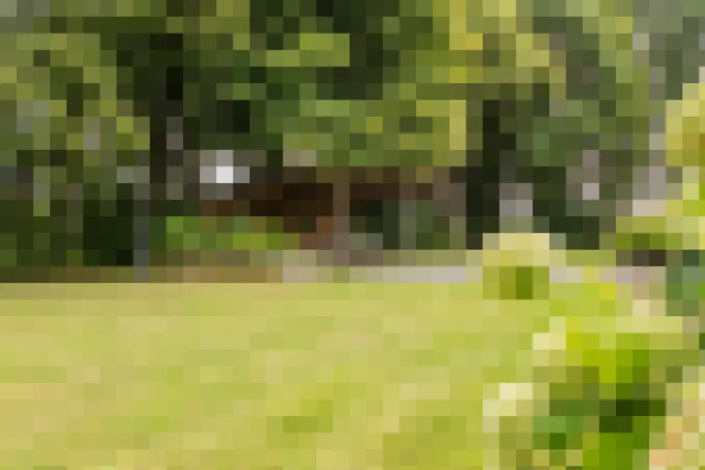 Meeleweg 92 Nieuwleusen thumbnail 49