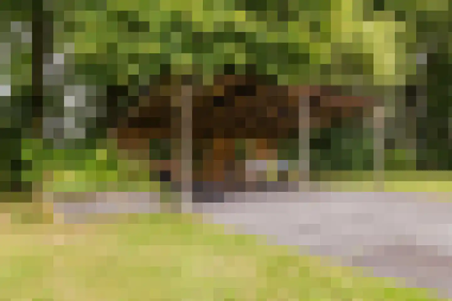 Meeleweg 92 Nieuwleusen thumbnail 50