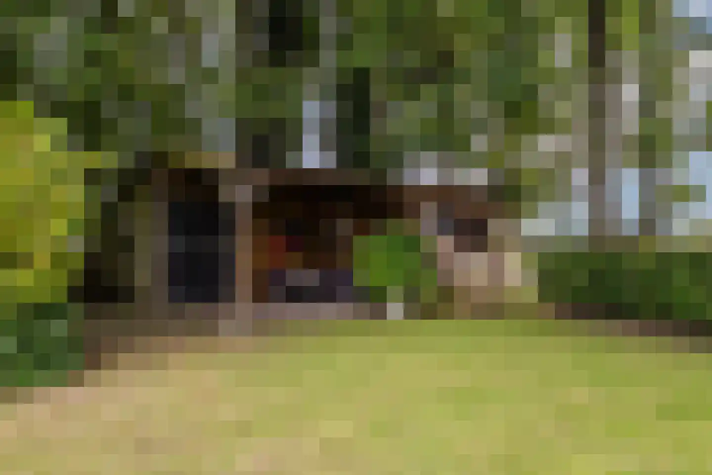 Meeleweg 92 Nieuwleusen thumbnail 51