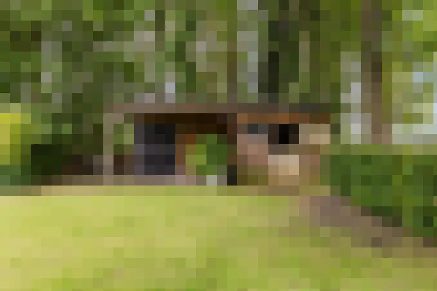 Meeleweg 92 Nieuwleusen thumbnail 52