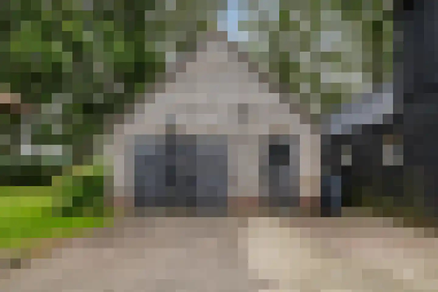 Meeleweg 92 Nieuwleusen thumbnail 55