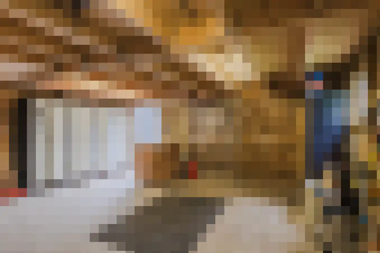 Meeleweg 92 Nieuwleusen thumbnail 56