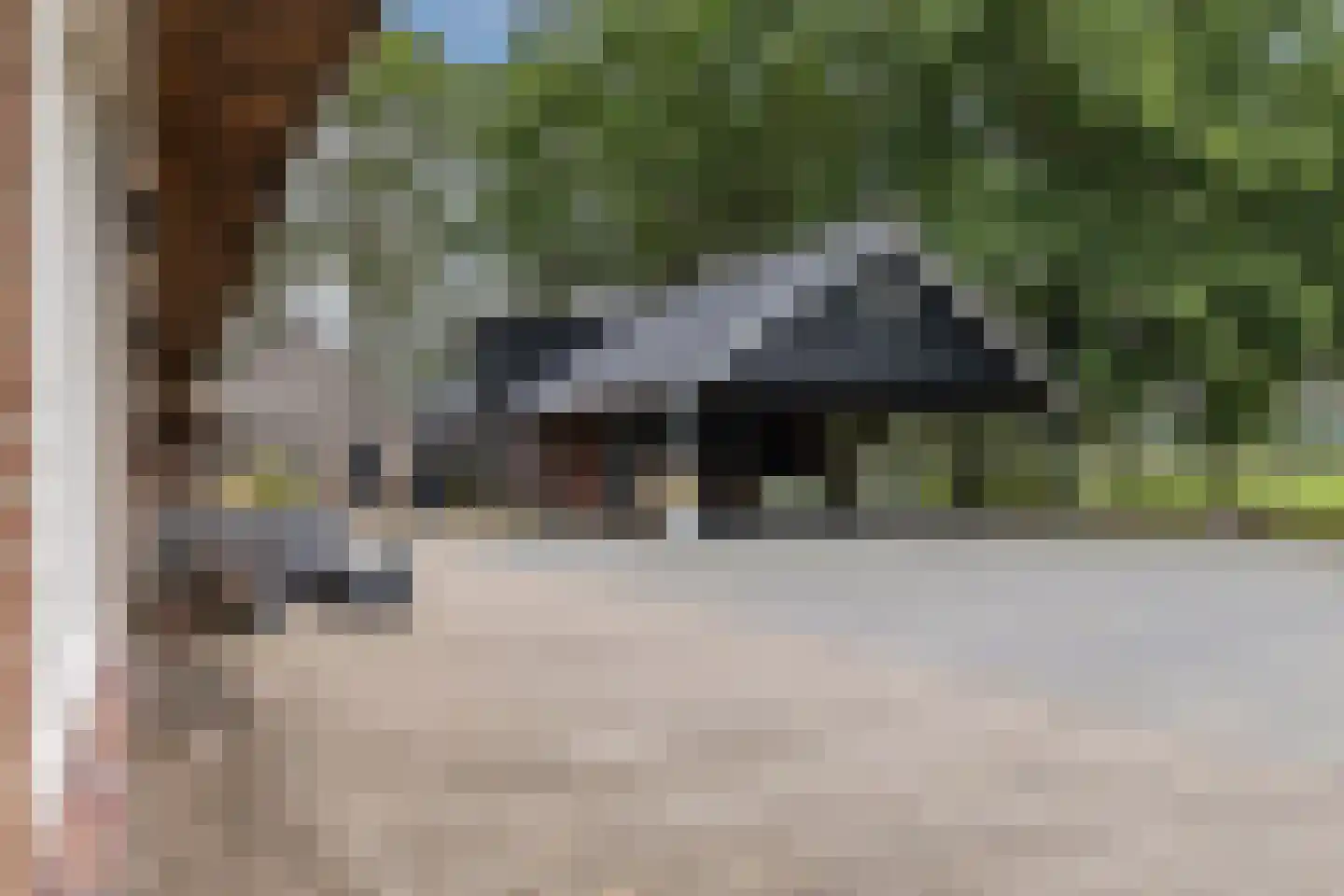 Meeleweg 92 Nieuwleusen thumbnail 58