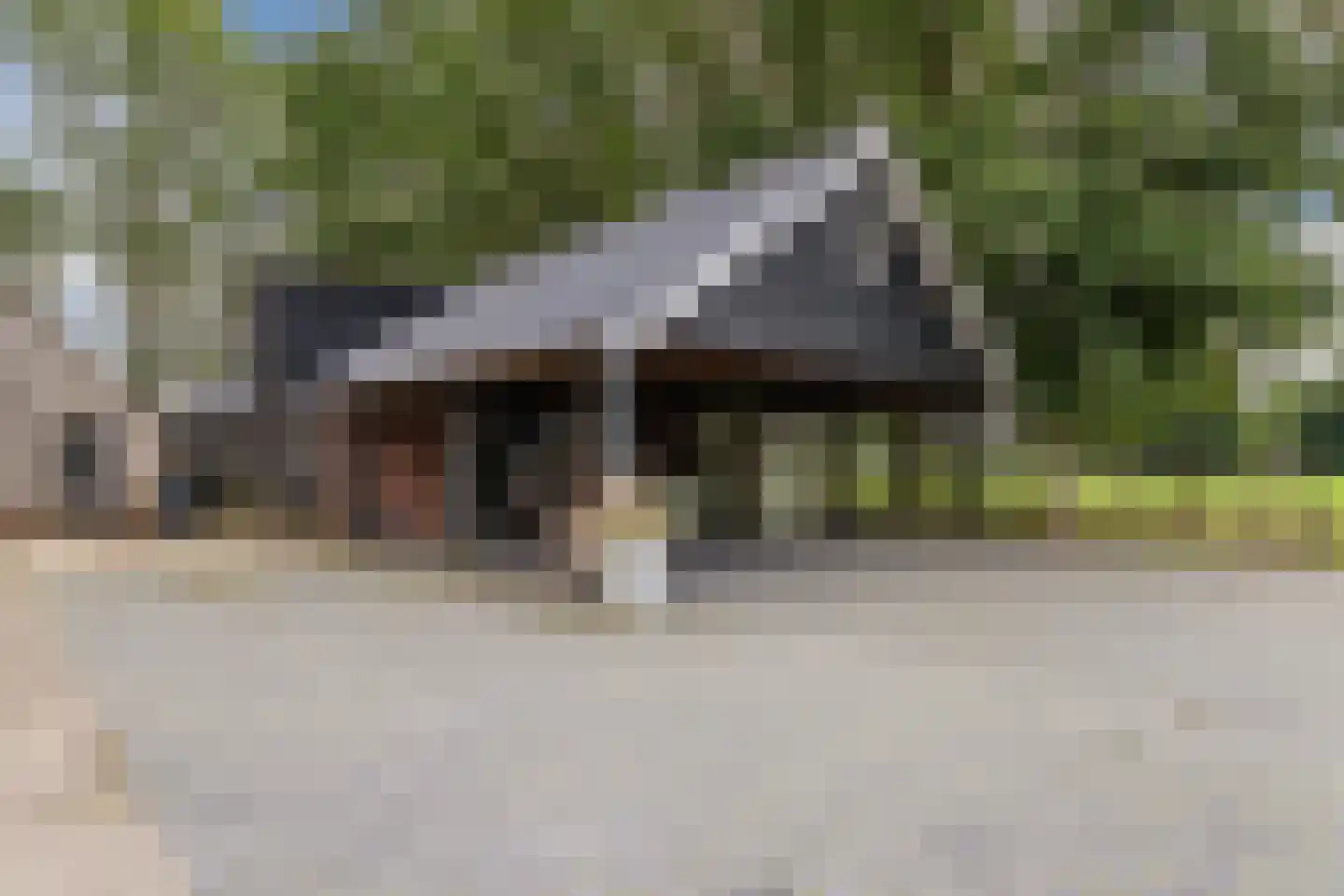 Meeleweg 92 Nieuwleusen thumbnail 59
