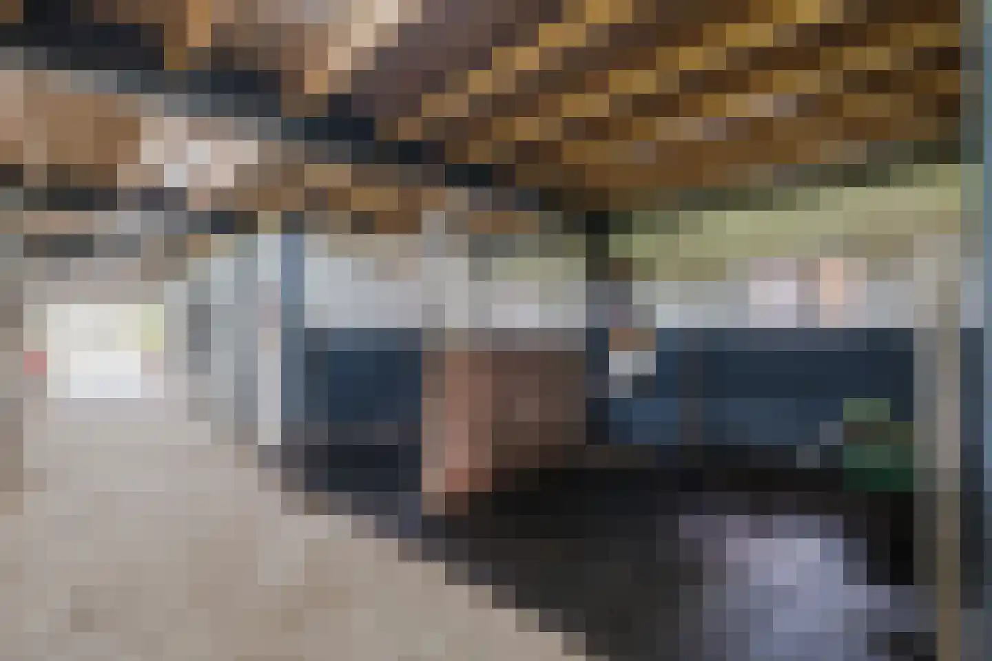 Meeleweg 92 Nieuwleusen thumbnail 62