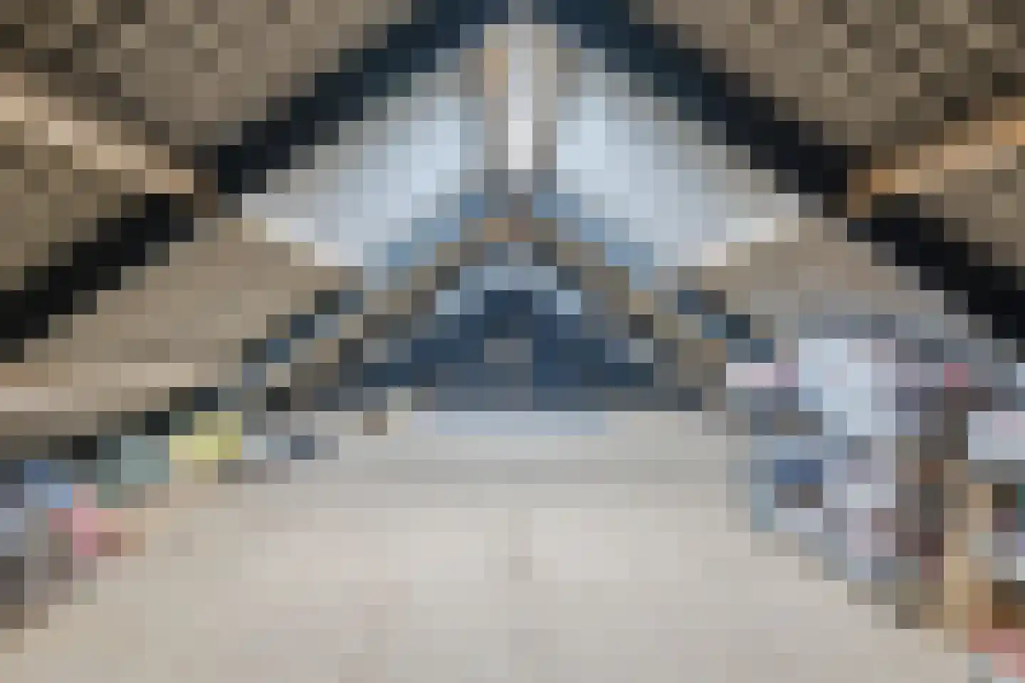 Meeleweg 92 Nieuwleusen thumbnail 66