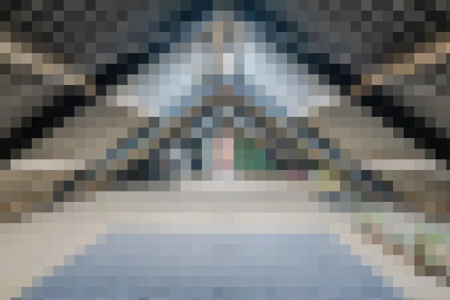 Meeleweg 92 Nieuwleusen thumbnail 67