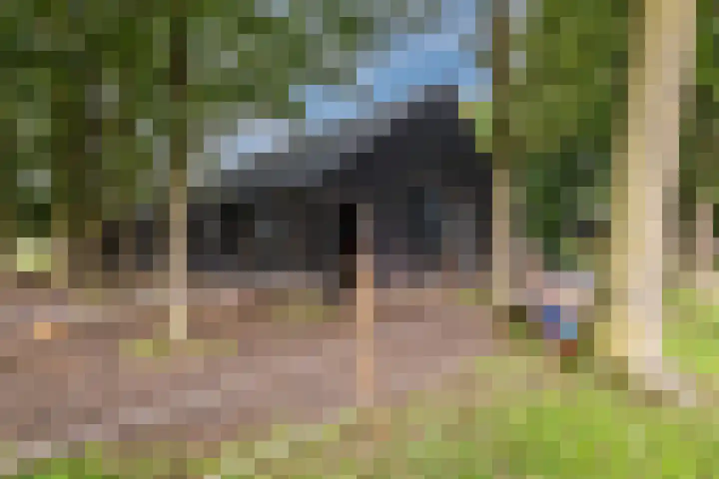 Meeleweg 92 Nieuwleusen thumbnail 68