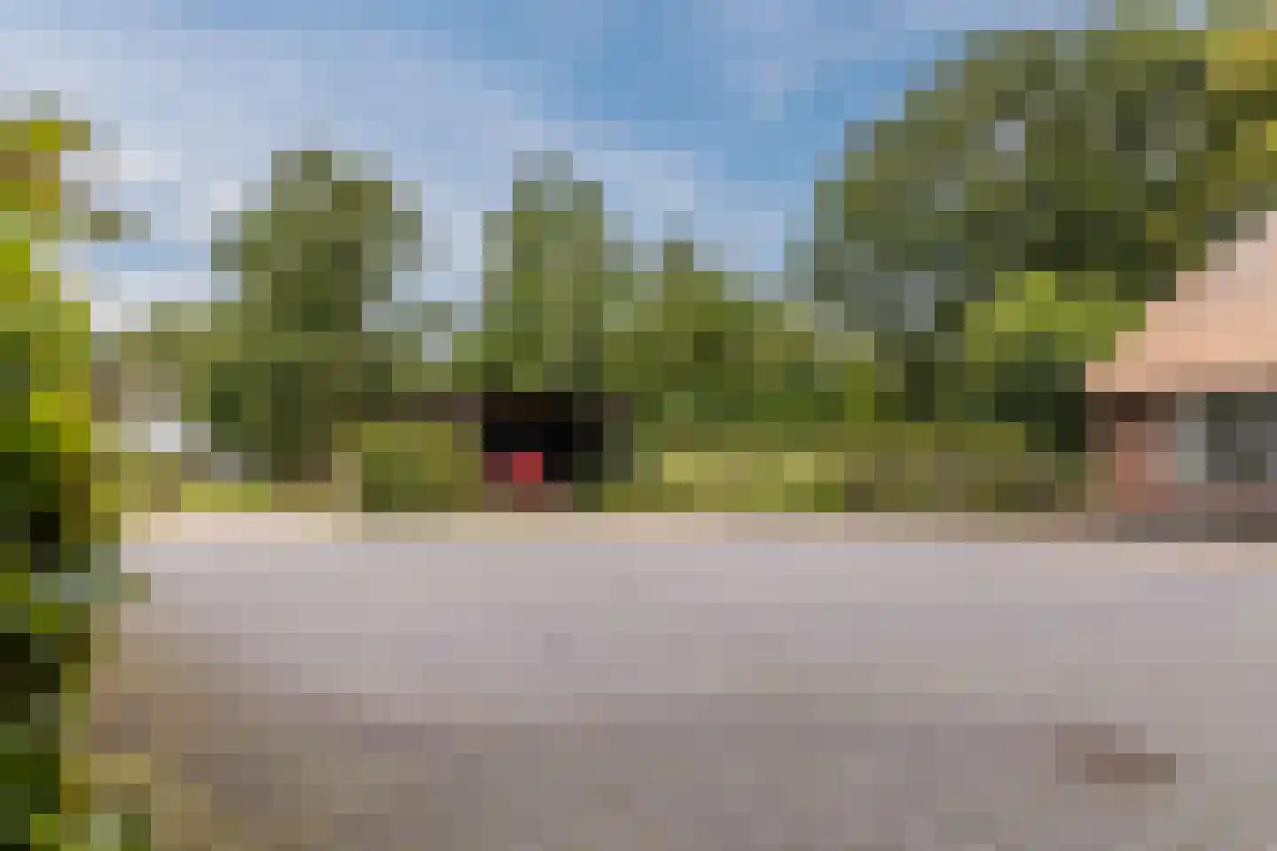 Meeleweg 92 Nieuwleusen thumbnail 69