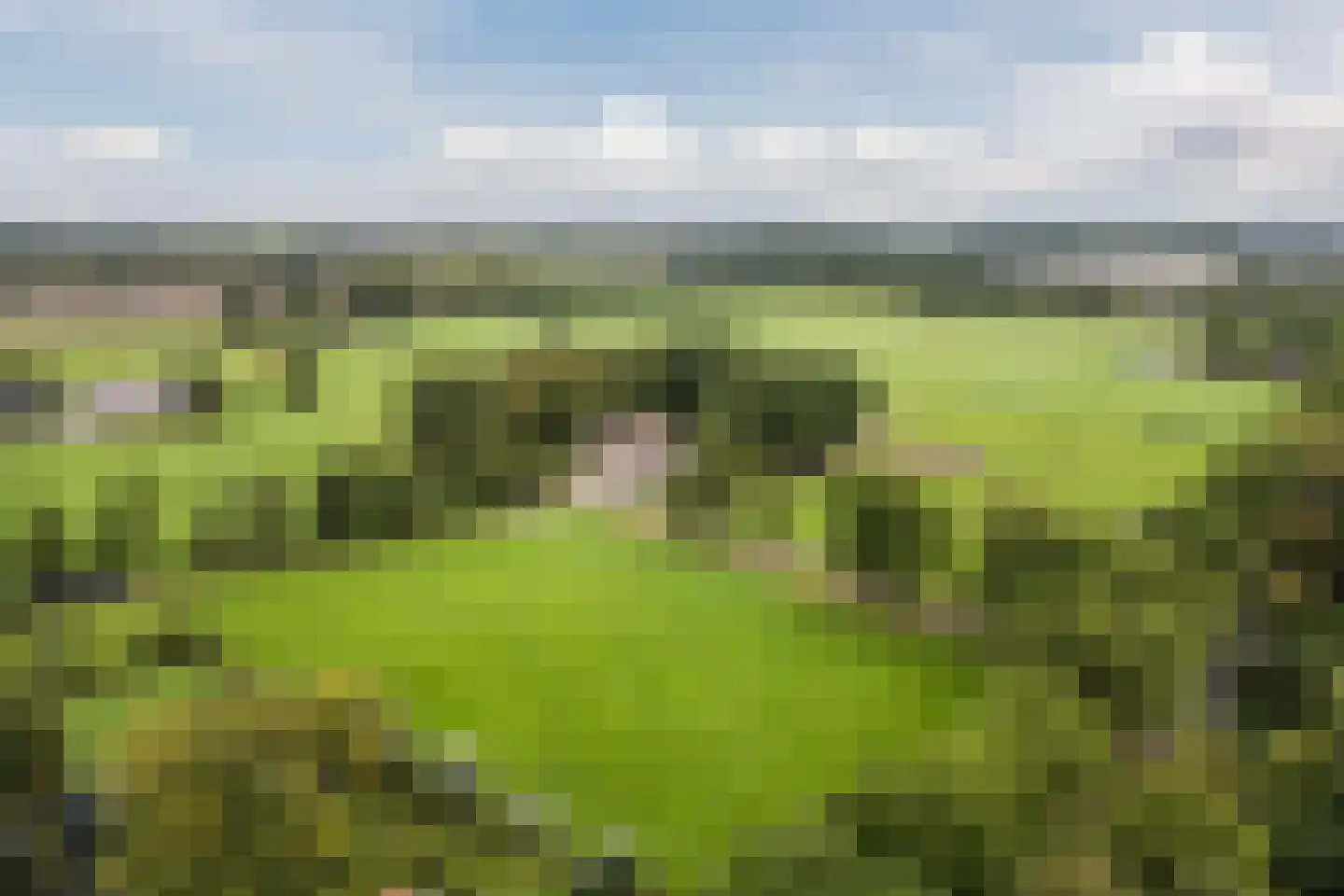 Meeleweg 92 Nieuwleusen thumbnail 75