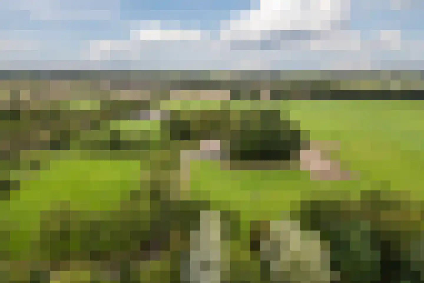Meeleweg 92 Nieuwleusen thumbnail 76