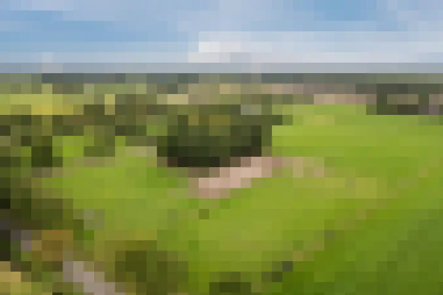 Meeleweg 92 Nieuwleusen thumbnail 77