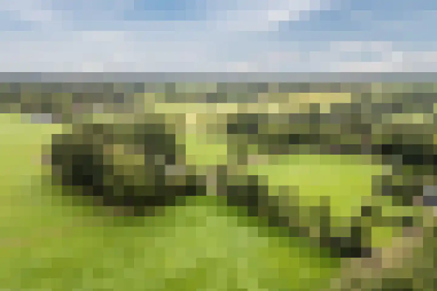 Meeleweg 92 Nieuwleusen thumbnail 79