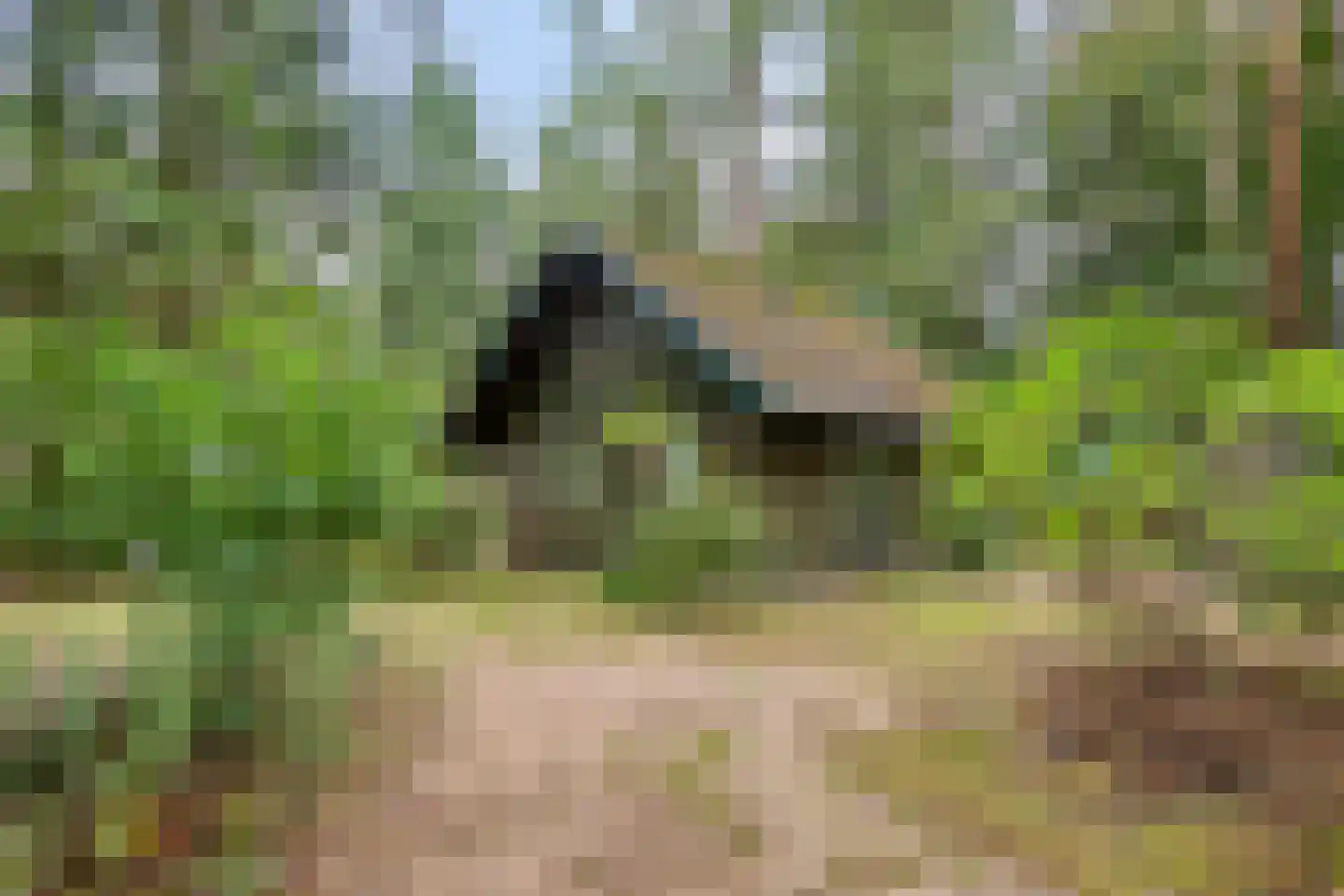 Meelkerlaan 13 Norg foto 2