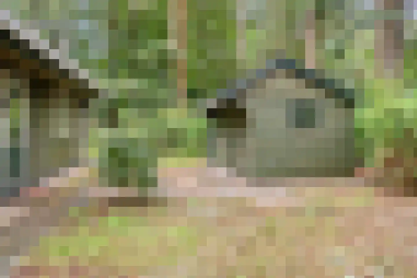 Meelkerlaan 13 Norg thumbnail 22