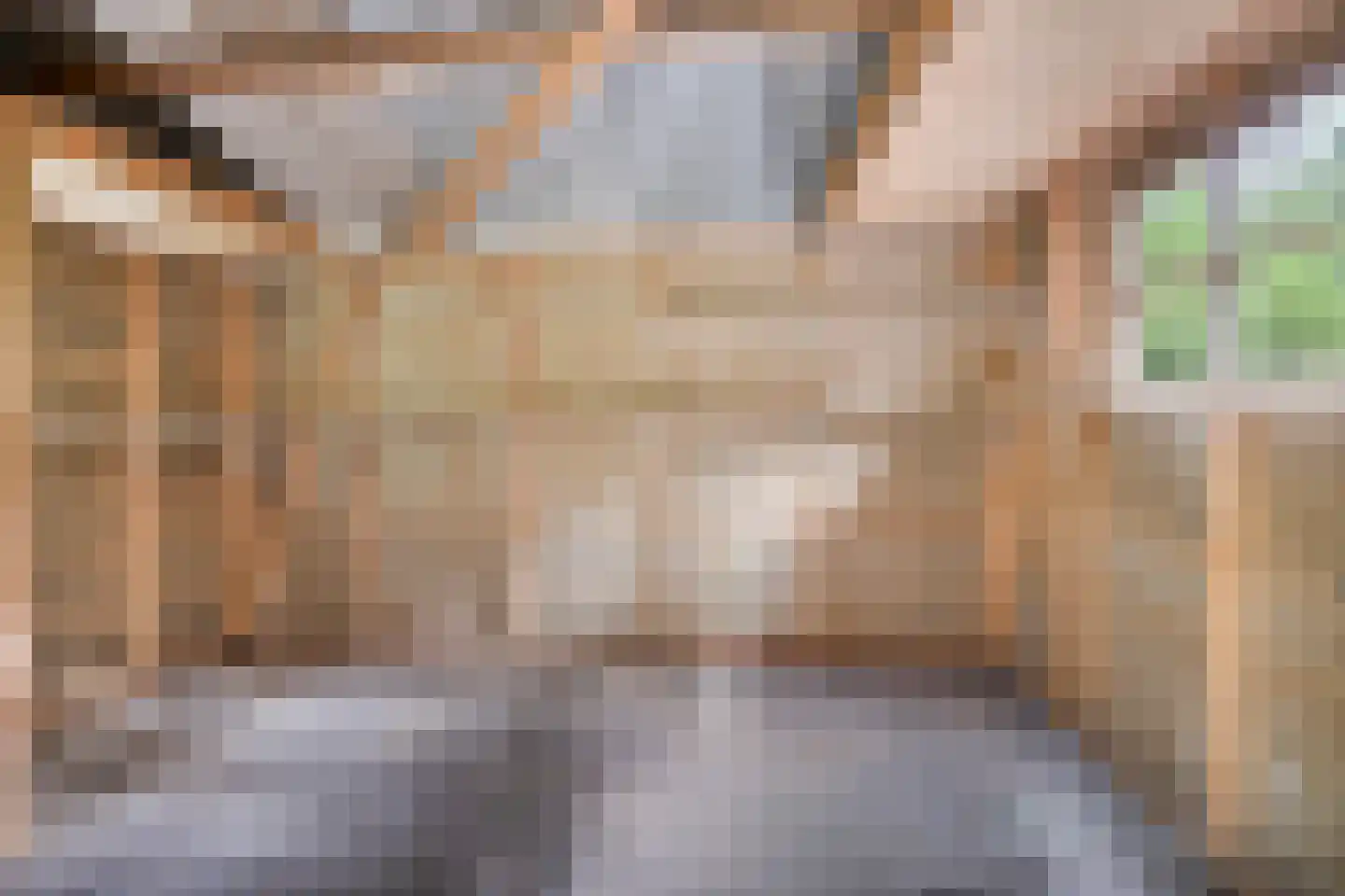 Meelkerlaan 13 Norg thumbnail 23