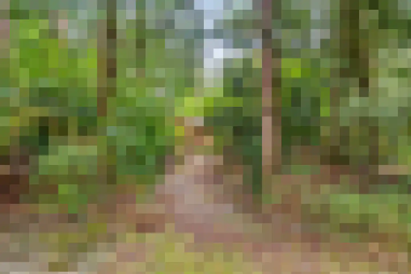 Meelkerlaan 13 Norg thumbnail 25