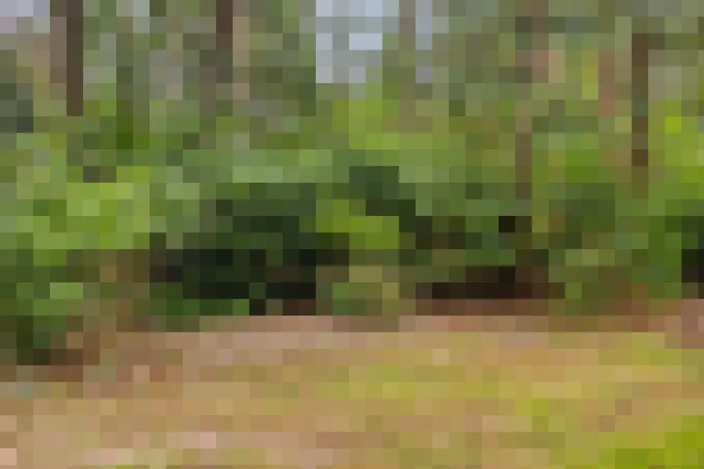 Meelkerlaan 13 Norg thumbnail 26