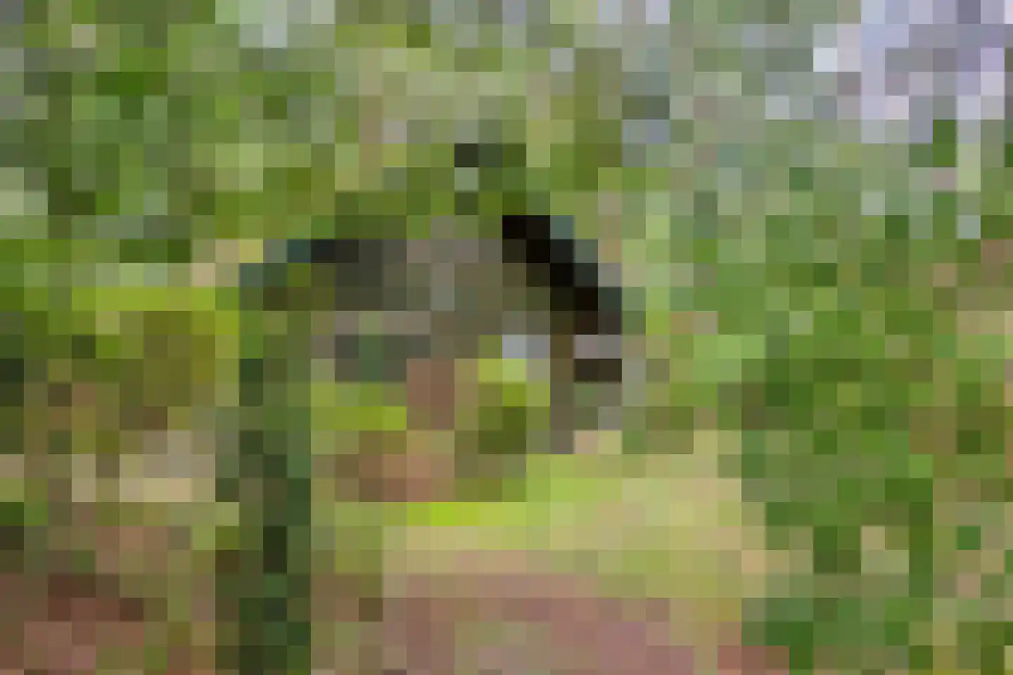 Meelkerlaan 13 Norg thumbnail 27